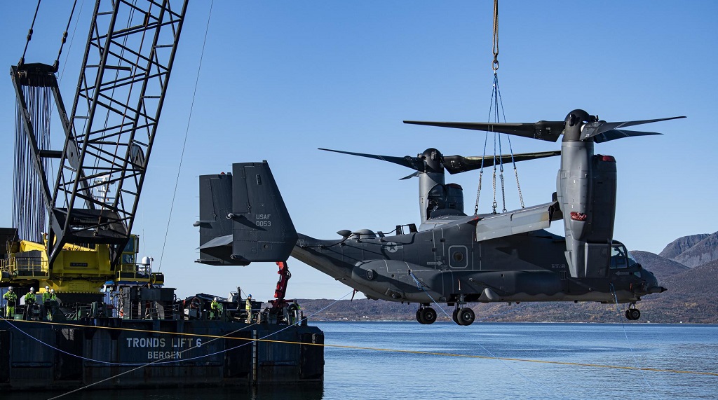 Stranded Osprey