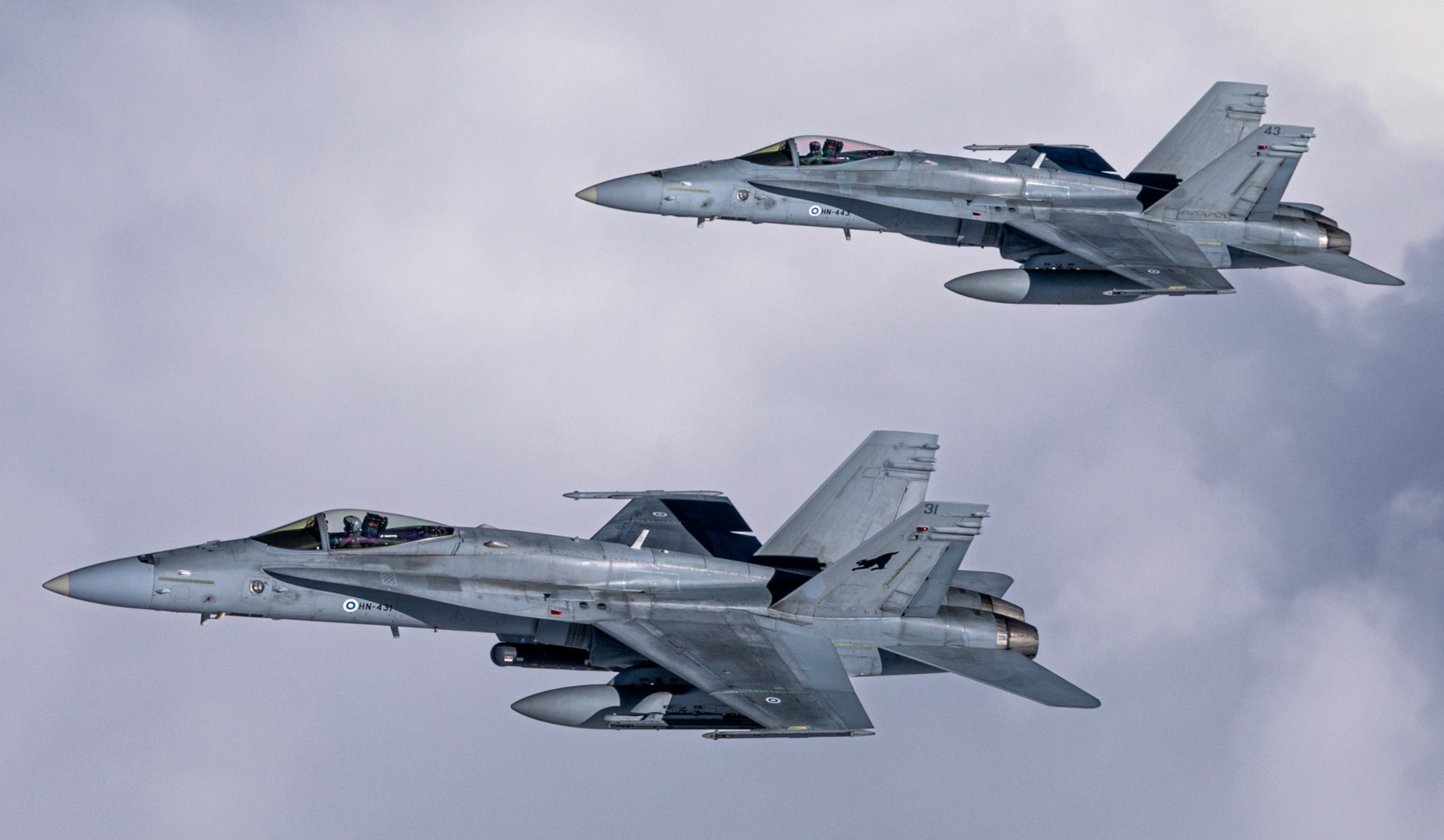 Finnish F/A-18C